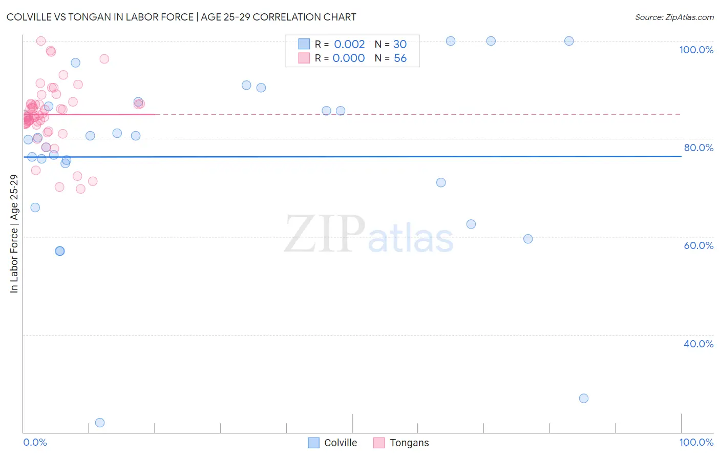 Colville vs Tongan In Labor Force | Age 25-29