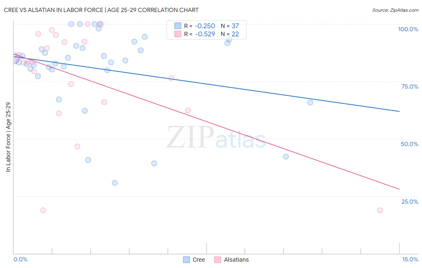 Cree vs Alsatian In Labor Force | Age 25-29