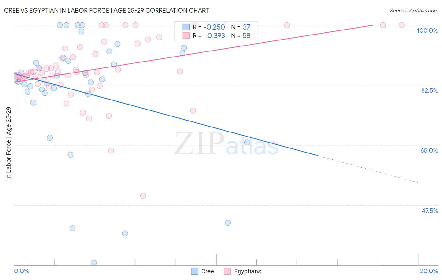 Cree vs Egyptian In Labor Force | Age 25-29