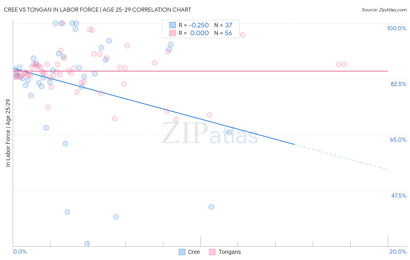 Cree vs Tongan In Labor Force | Age 25-29