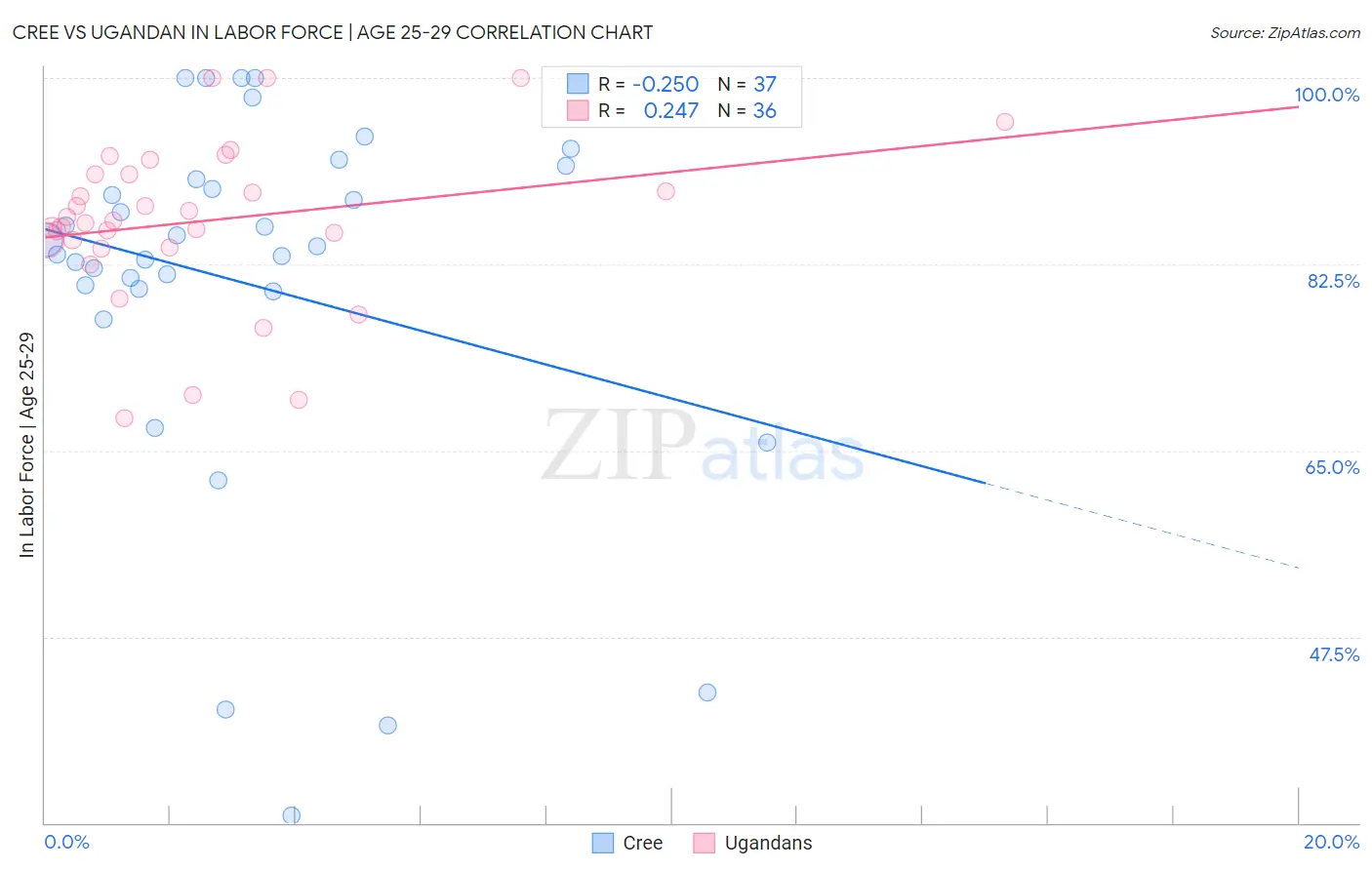 Cree vs Ugandan In Labor Force | Age 25-29