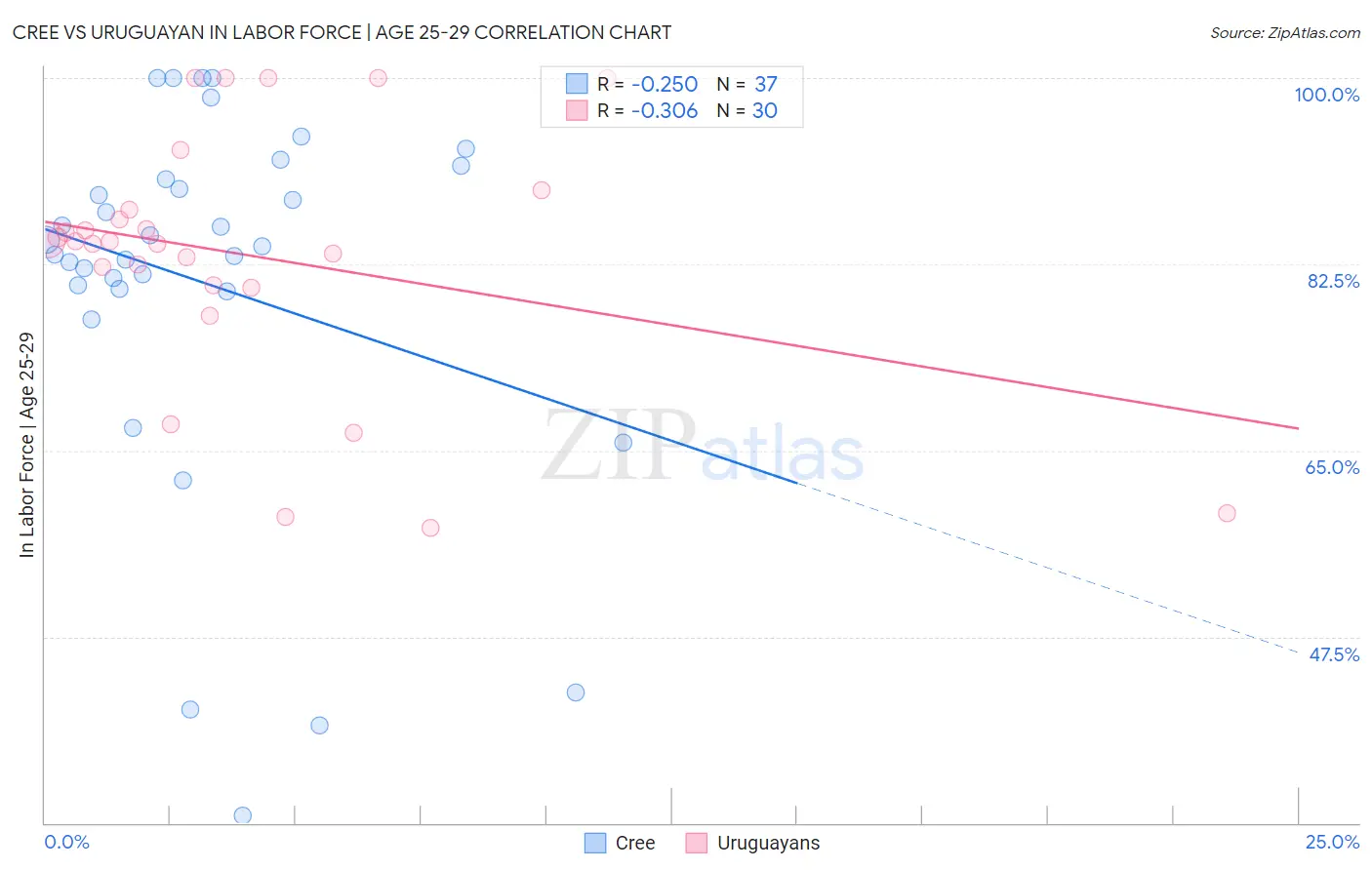 Cree vs Uruguayan In Labor Force | Age 25-29