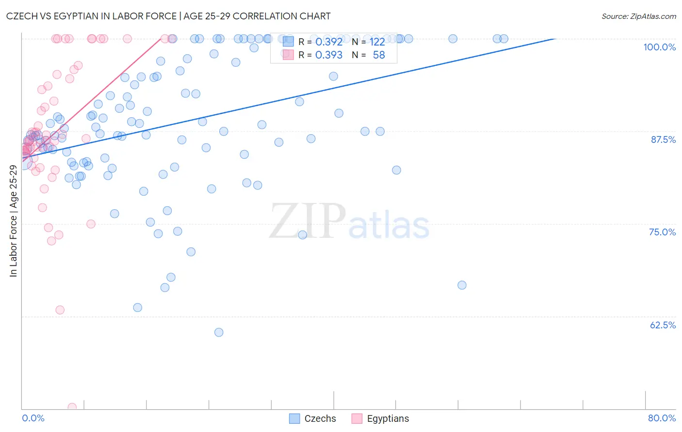 Czech vs Egyptian In Labor Force | Age 25-29