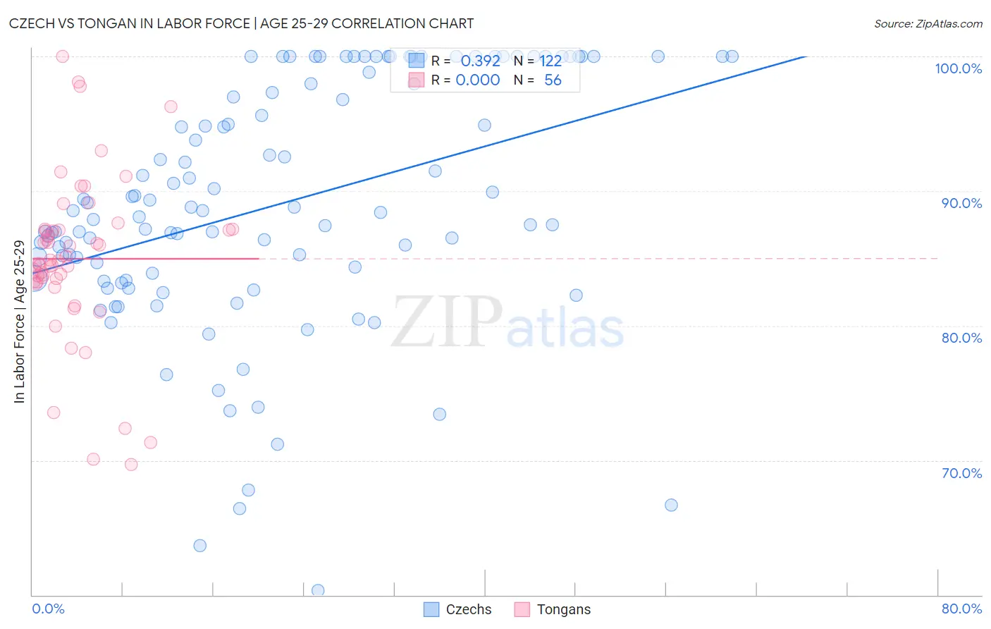 Czech vs Tongan In Labor Force | Age 25-29