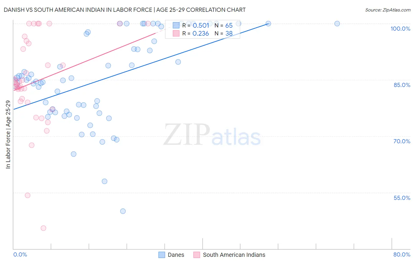 Danish vs South American Indian In Labor Force | Age 25-29