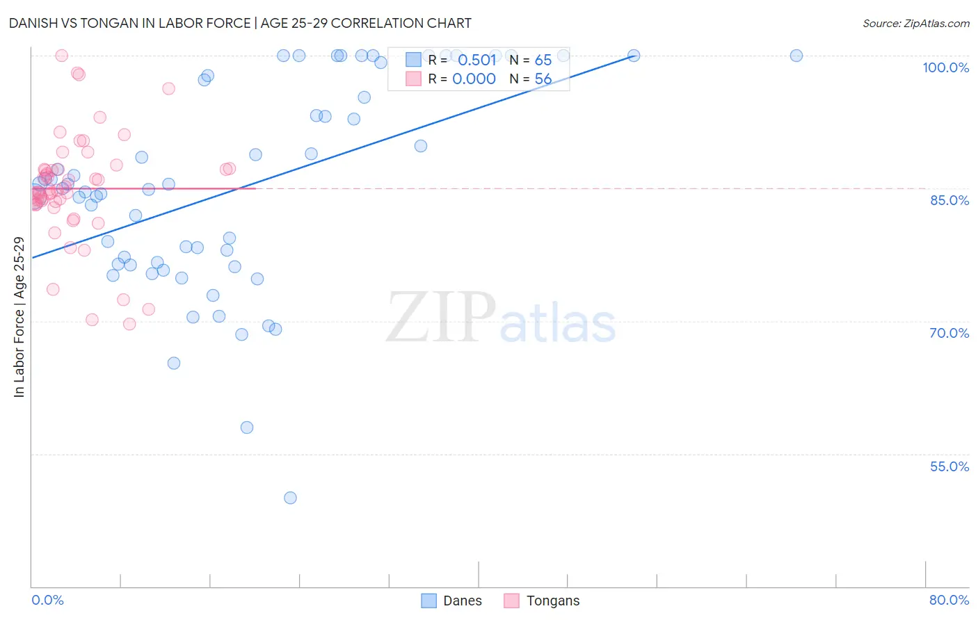 Danish vs Tongan In Labor Force | Age 25-29