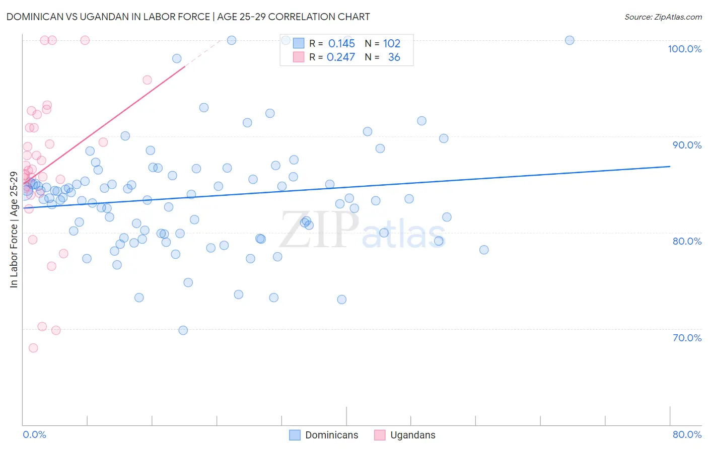 Dominican vs Ugandan In Labor Force | Age 25-29
