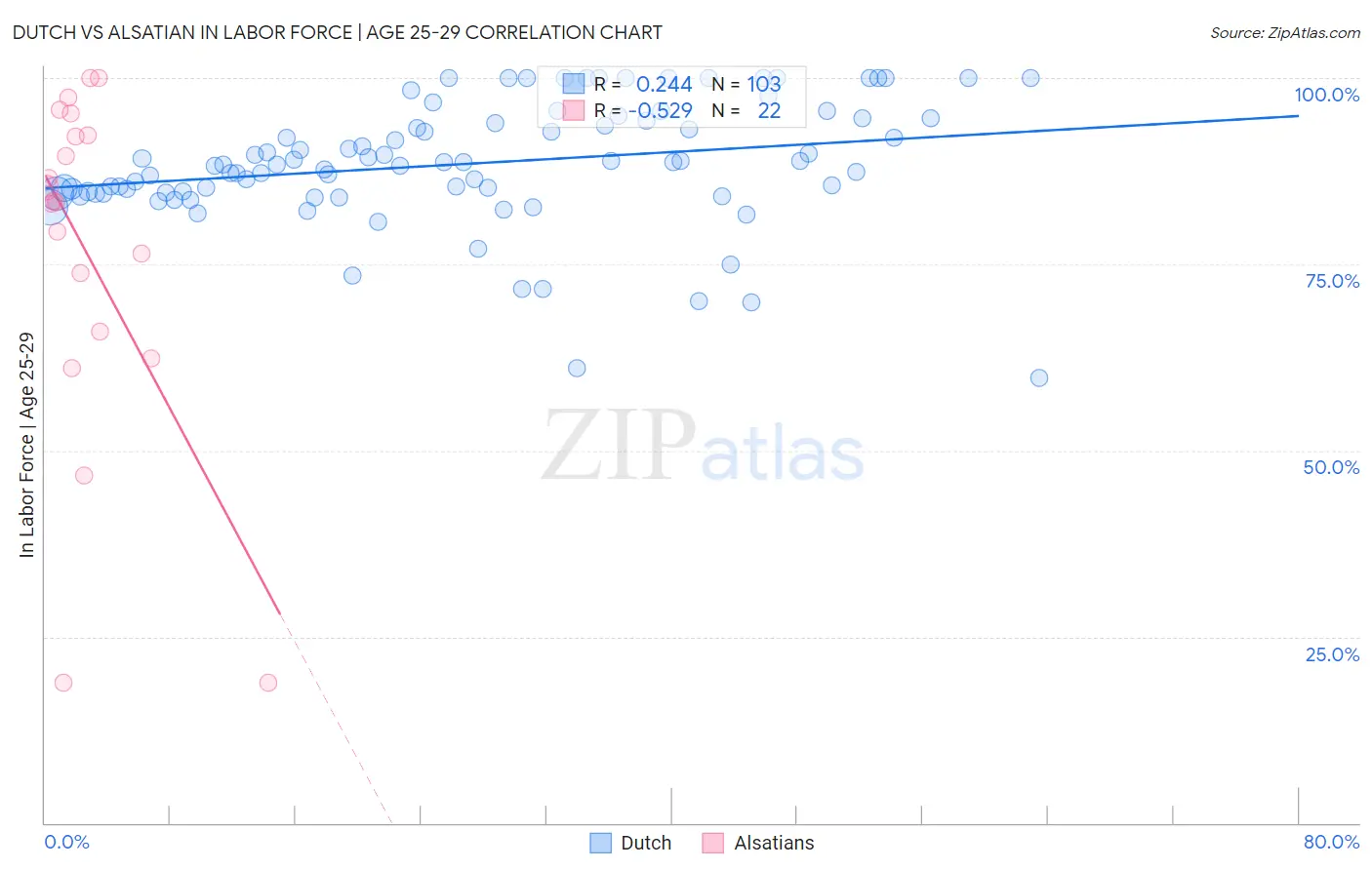 Dutch vs Alsatian In Labor Force | Age 25-29