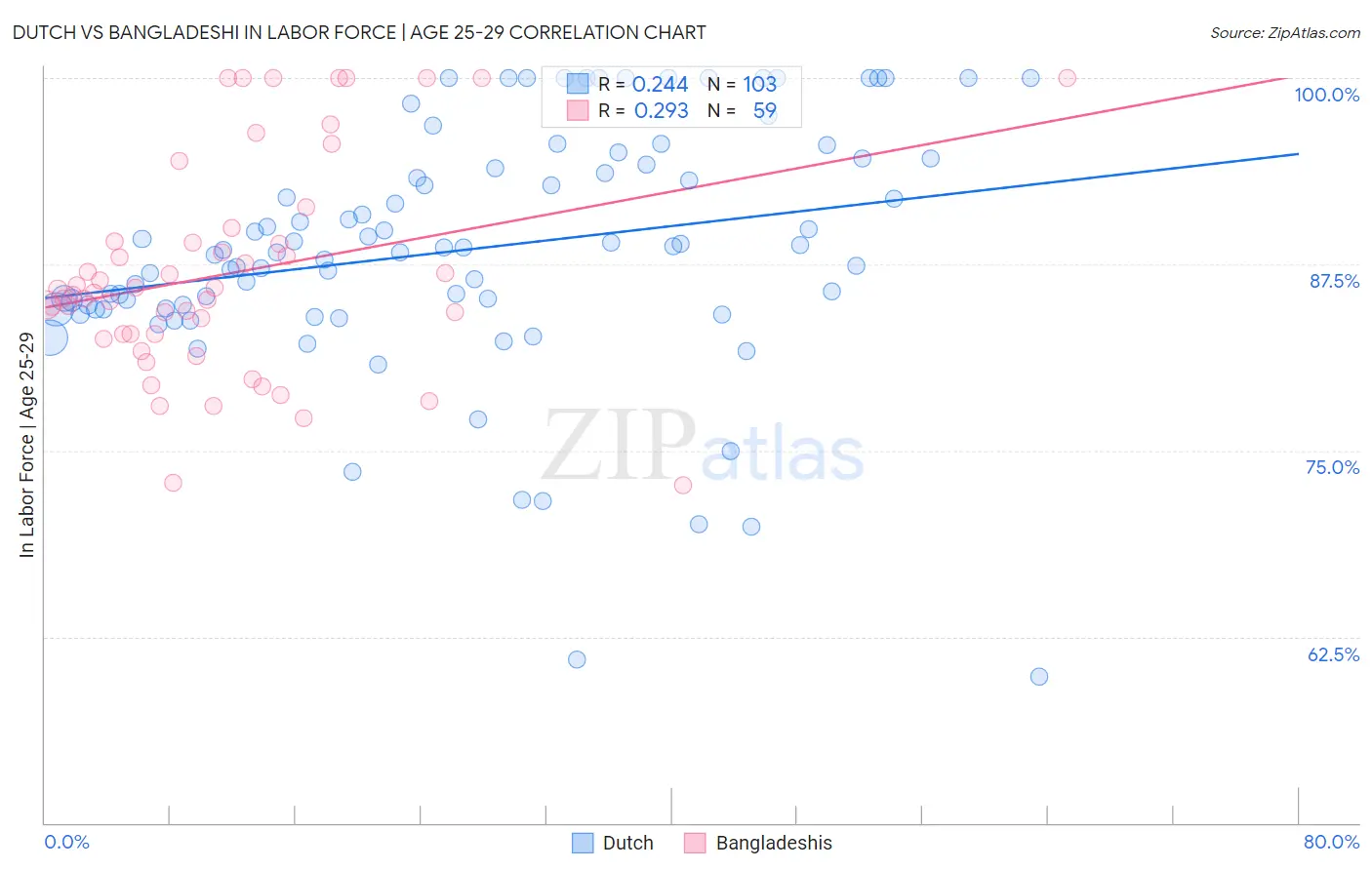 Dutch vs Bangladeshi In Labor Force | Age 25-29