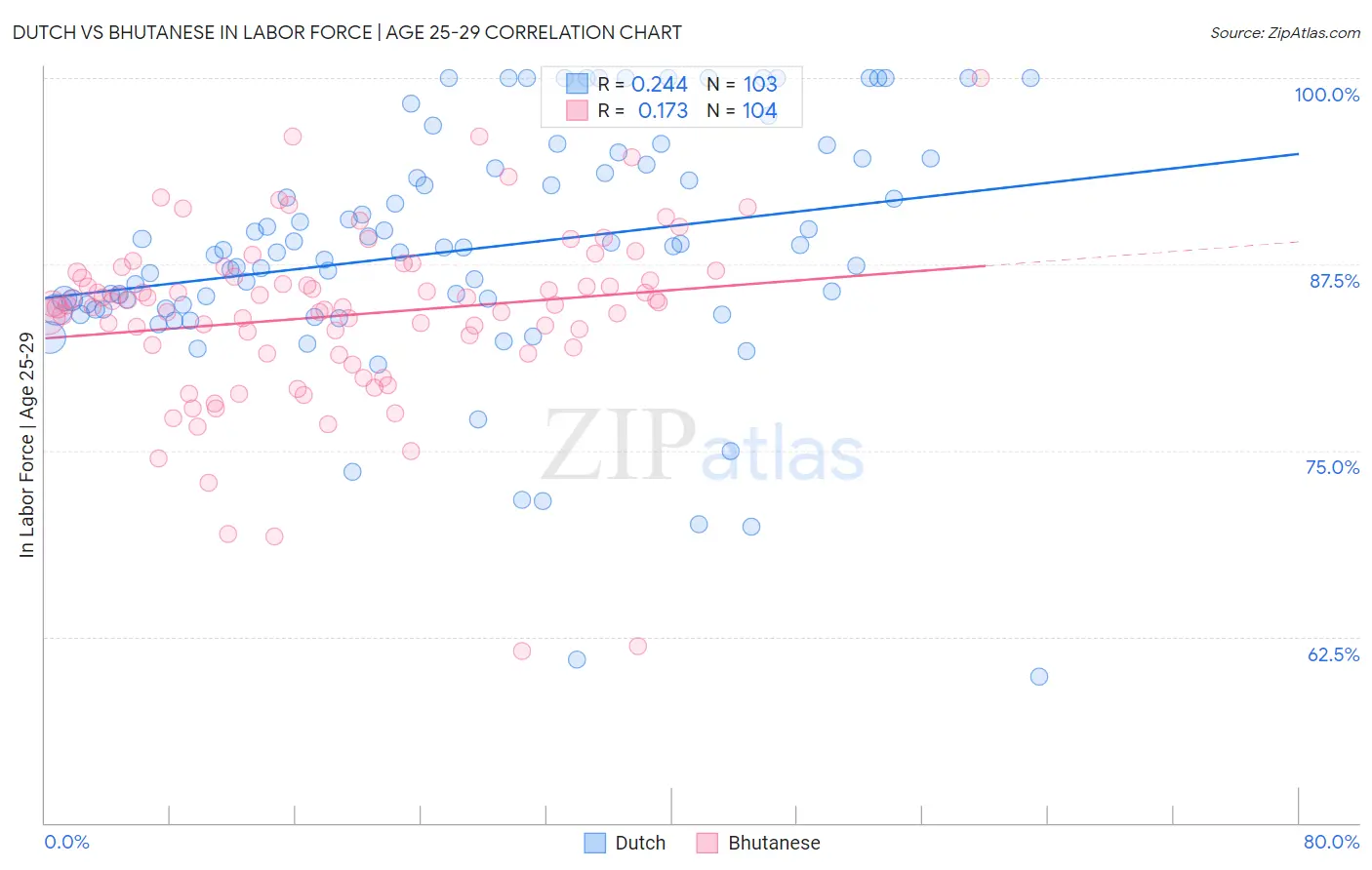 Dutch vs Bhutanese In Labor Force | Age 25-29