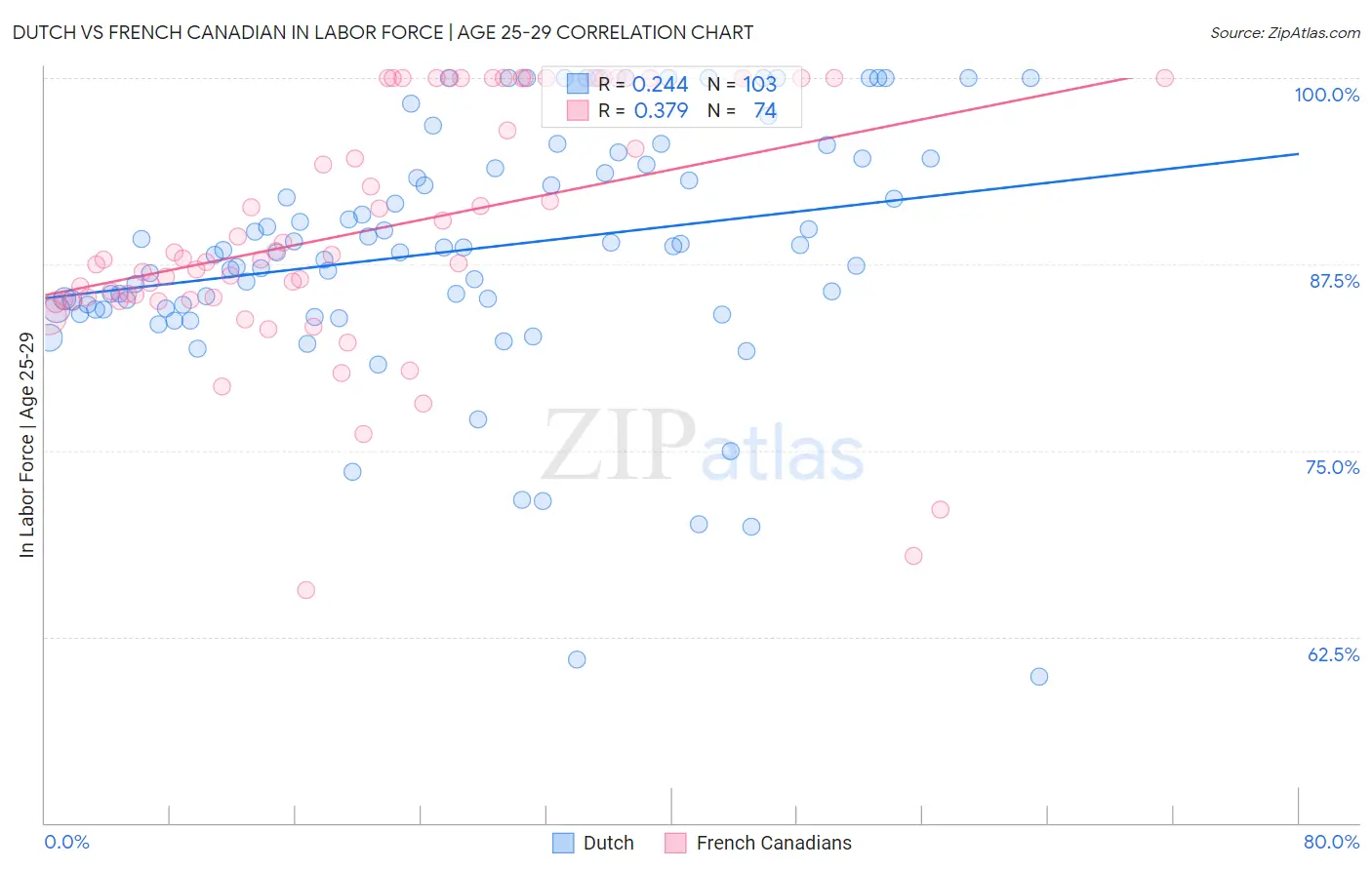 Dutch vs French Canadian In Labor Force | Age 25-29