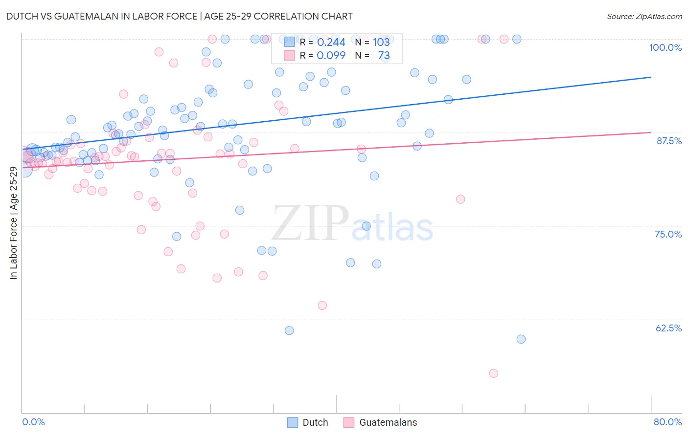 Dutch vs Guatemalan In Labor Force | Age 25-29