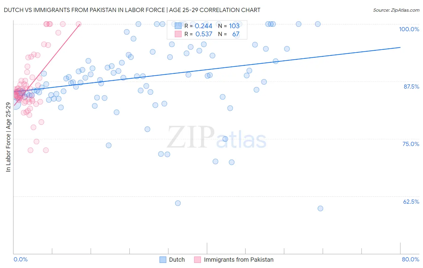 Dutch vs Immigrants from Pakistan In Labor Force | Age 25-29