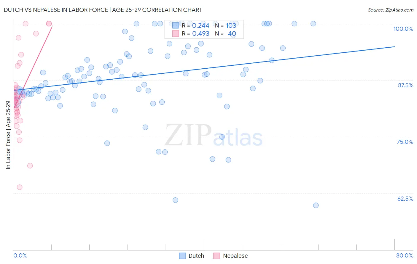 Dutch vs Nepalese In Labor Force | Age 25-29