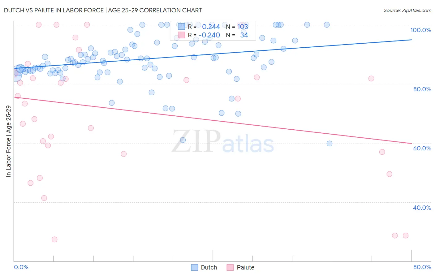 Dutch vs Paiute In Labor Force | Age 25-29