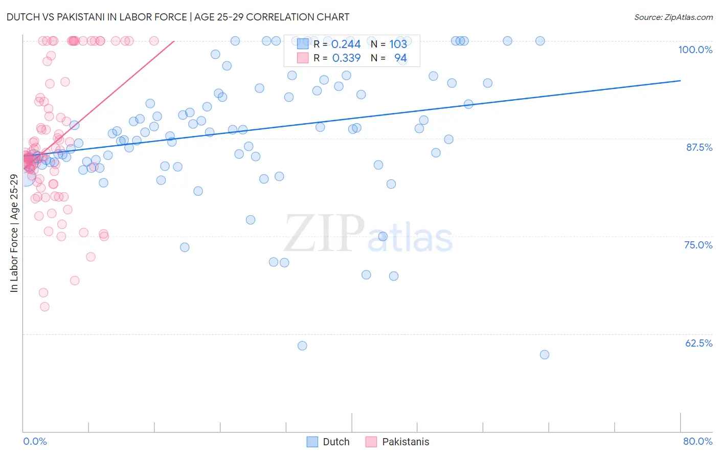 Dutch vs Pakistani In Labor Force | Age 25-29