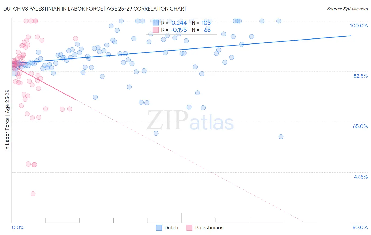 Dutch vs Palestinian In Labor Force | Age 25-29