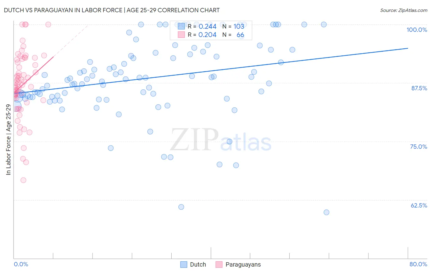 Dutch vs Paraguayan In Labor Force | Age 25-29