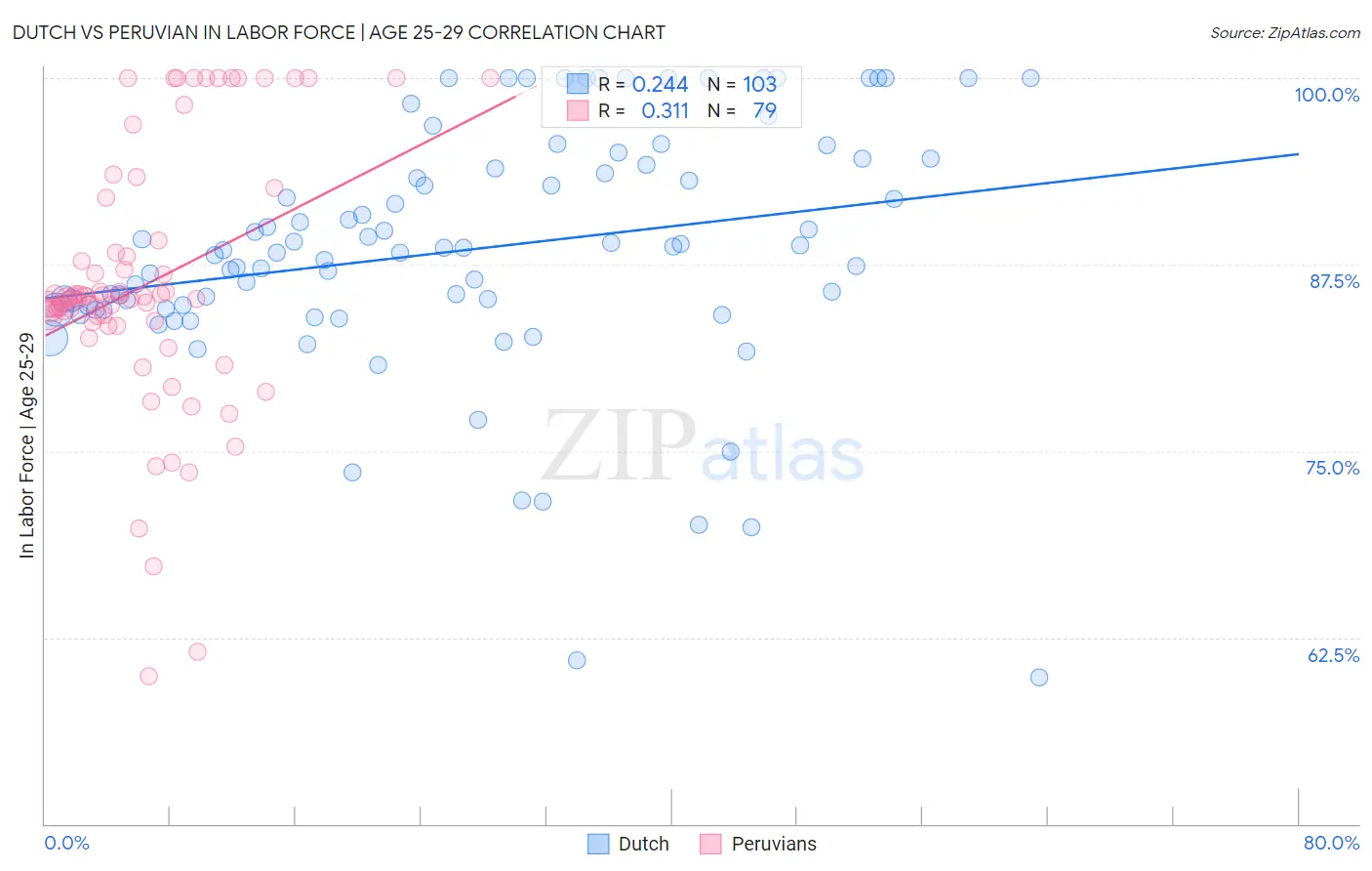 Dutch vs Peruvian In Labor Force | Age 25-29