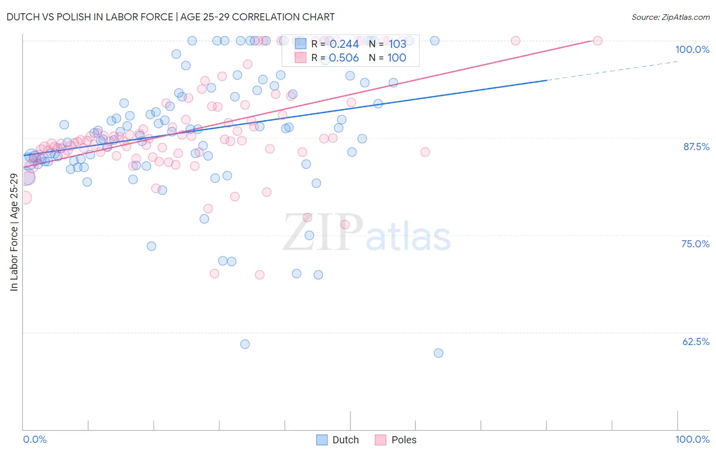 Dutch vs Polish In Labor Force | Age 25-29