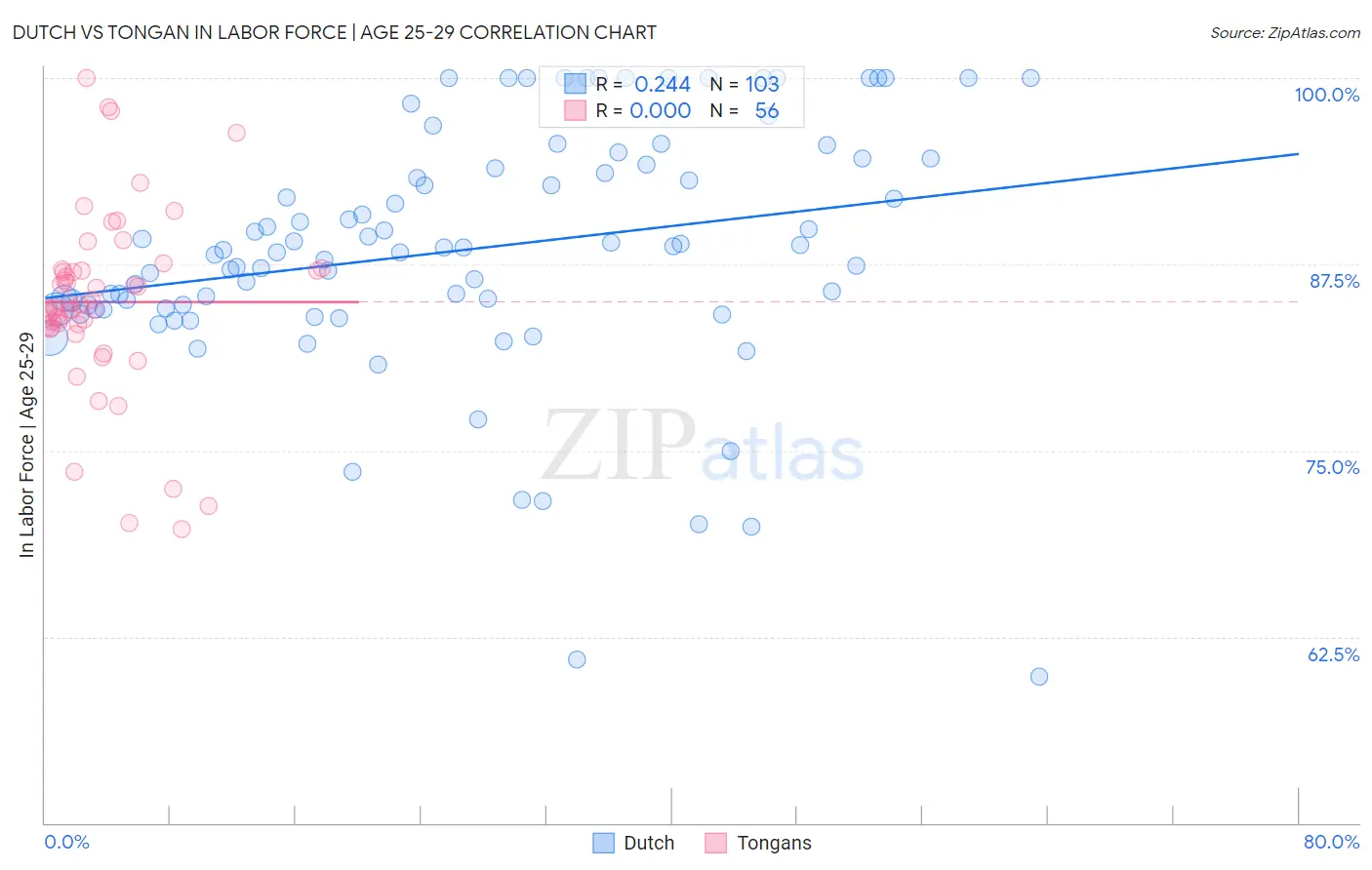 Dutch vs Tongan In Labor Force | Age 25-29