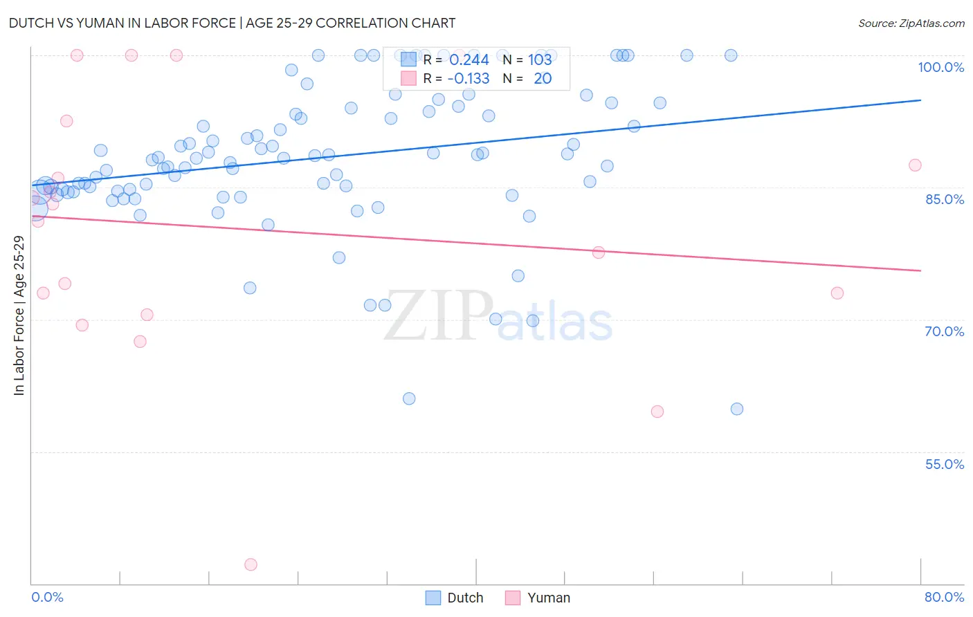 Dutch vs Yuman In Labor Force | Age 25-29