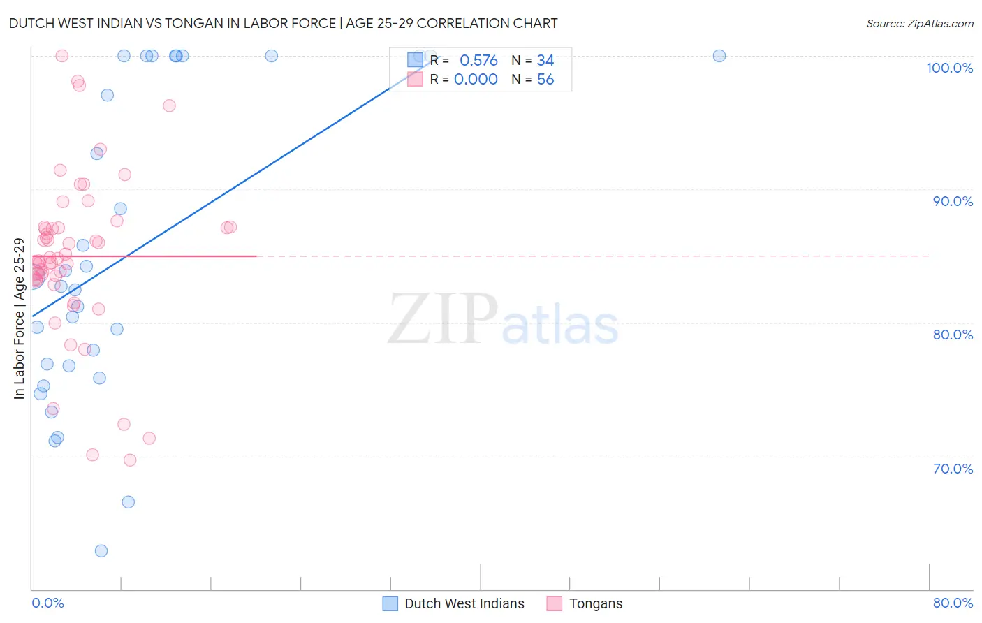 Dutch West Indian vs Tongan In Labor Force | Age 25-29