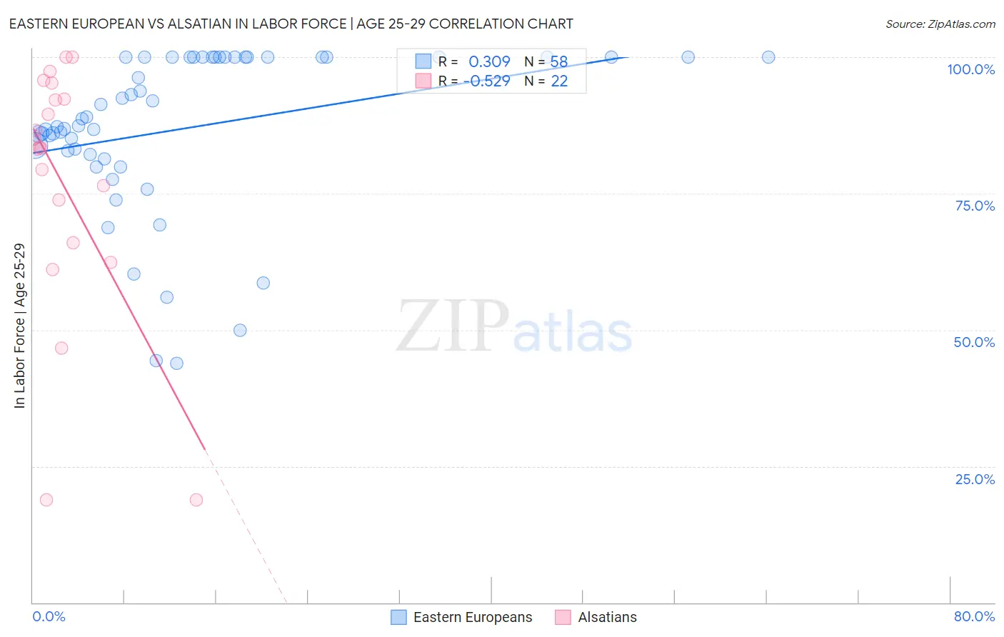 Eastern European vs Alsatian In Labor Force | Age 25-29