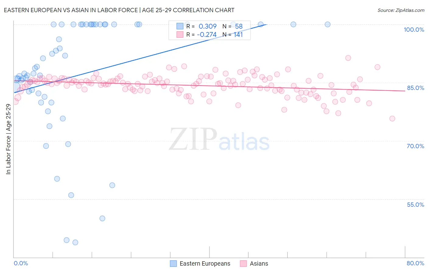 Eastern European vs Asian In Labor Force | Age 25-29