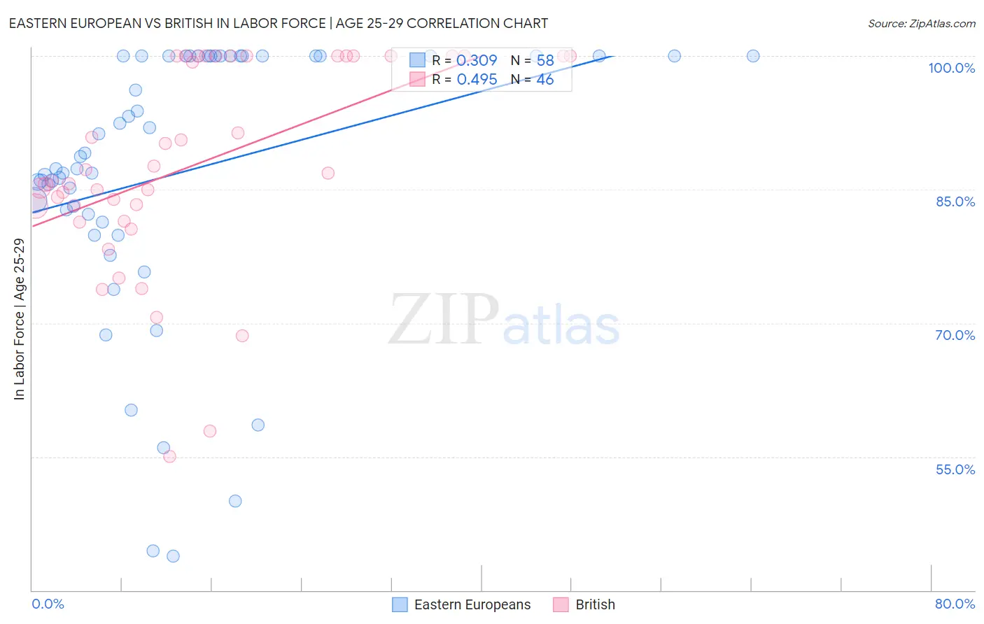 Eastern European vs British In Labor Force | Age 25-29