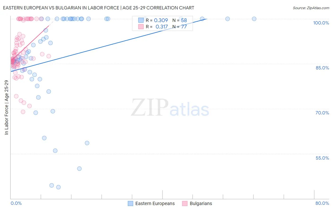 Eastern European vs Bulgarian In Labor Force | Age 25-29