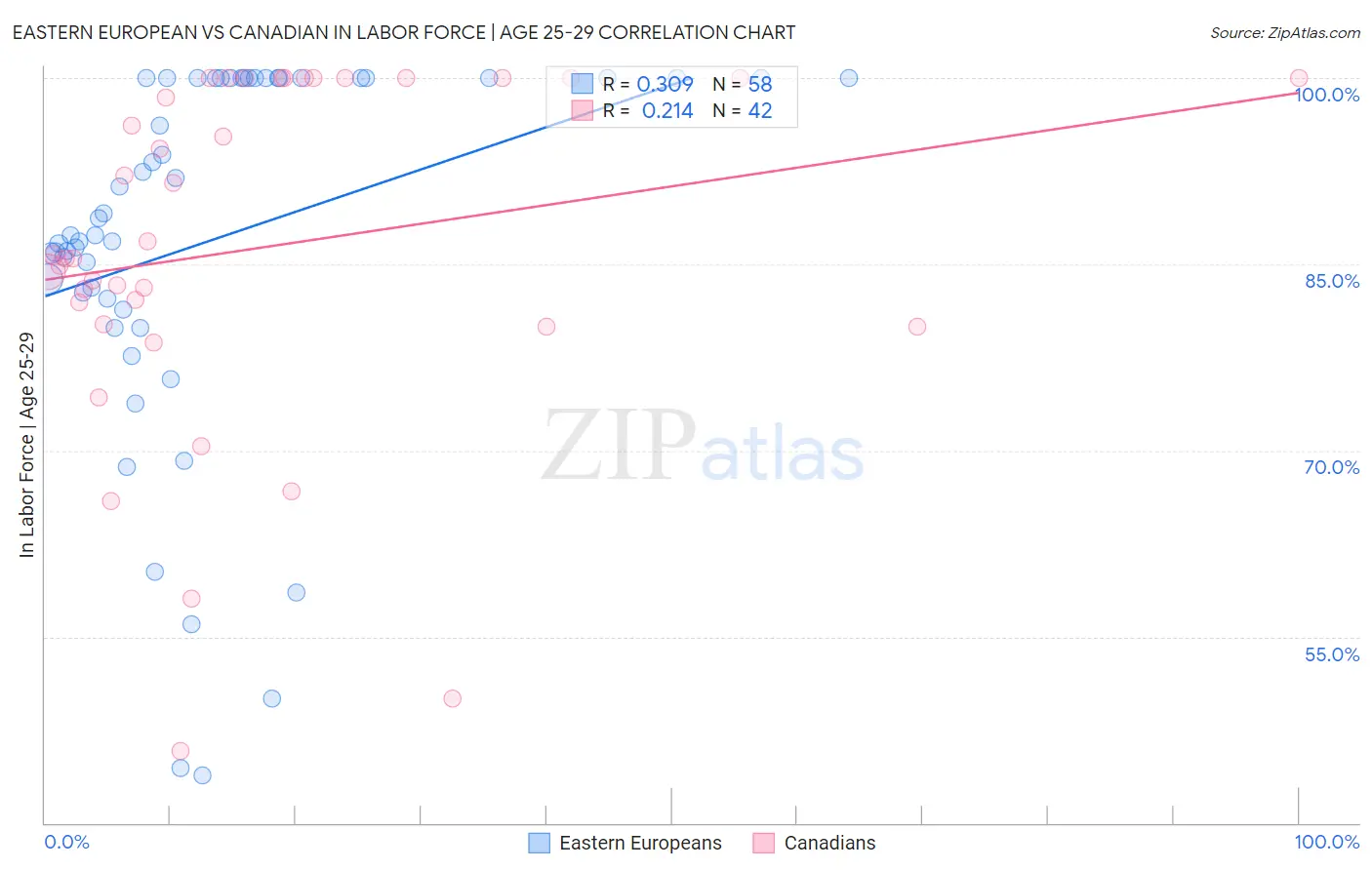 Eastern European vs Canadian In Labor Force | Age 25-29