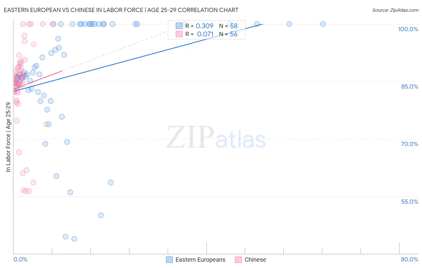 Eastern European vs Chinese In Labor Force | Age 25-29