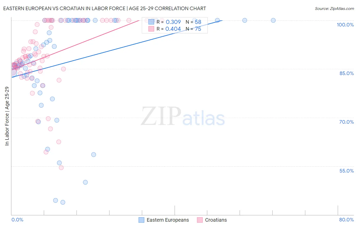 Eastern European vs Croatian In Labor Force | Age 25-29