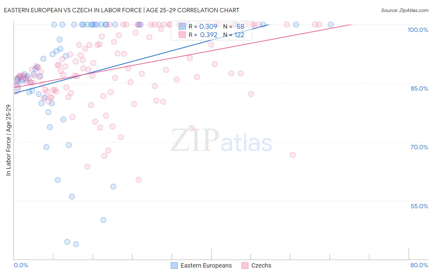 Eastern European vs Czech In Labor Force | Age 25-29