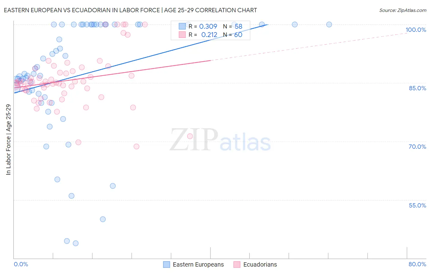 Eastern European vs Ecuadorian In Labor Force | Age 25-29