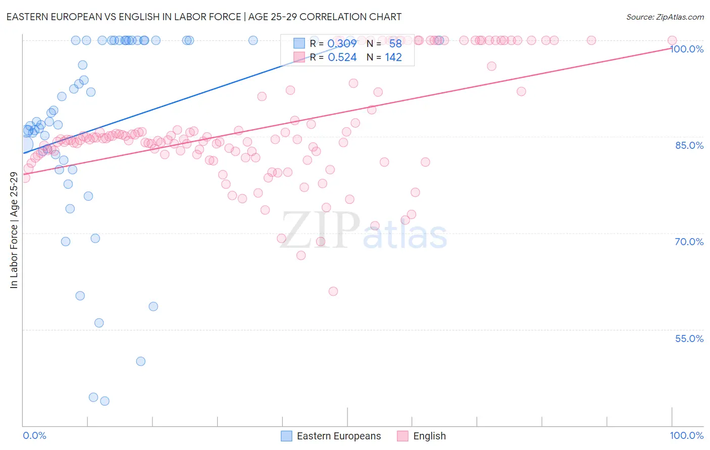 Eastern European vs English In Labor Force | Age 25-29