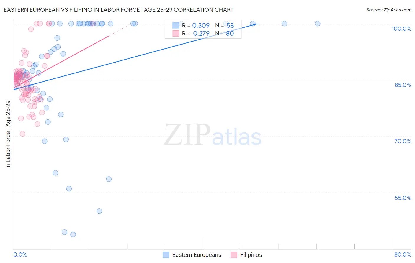 Eastern European vs Filipino In Labor Force | Age 25-29