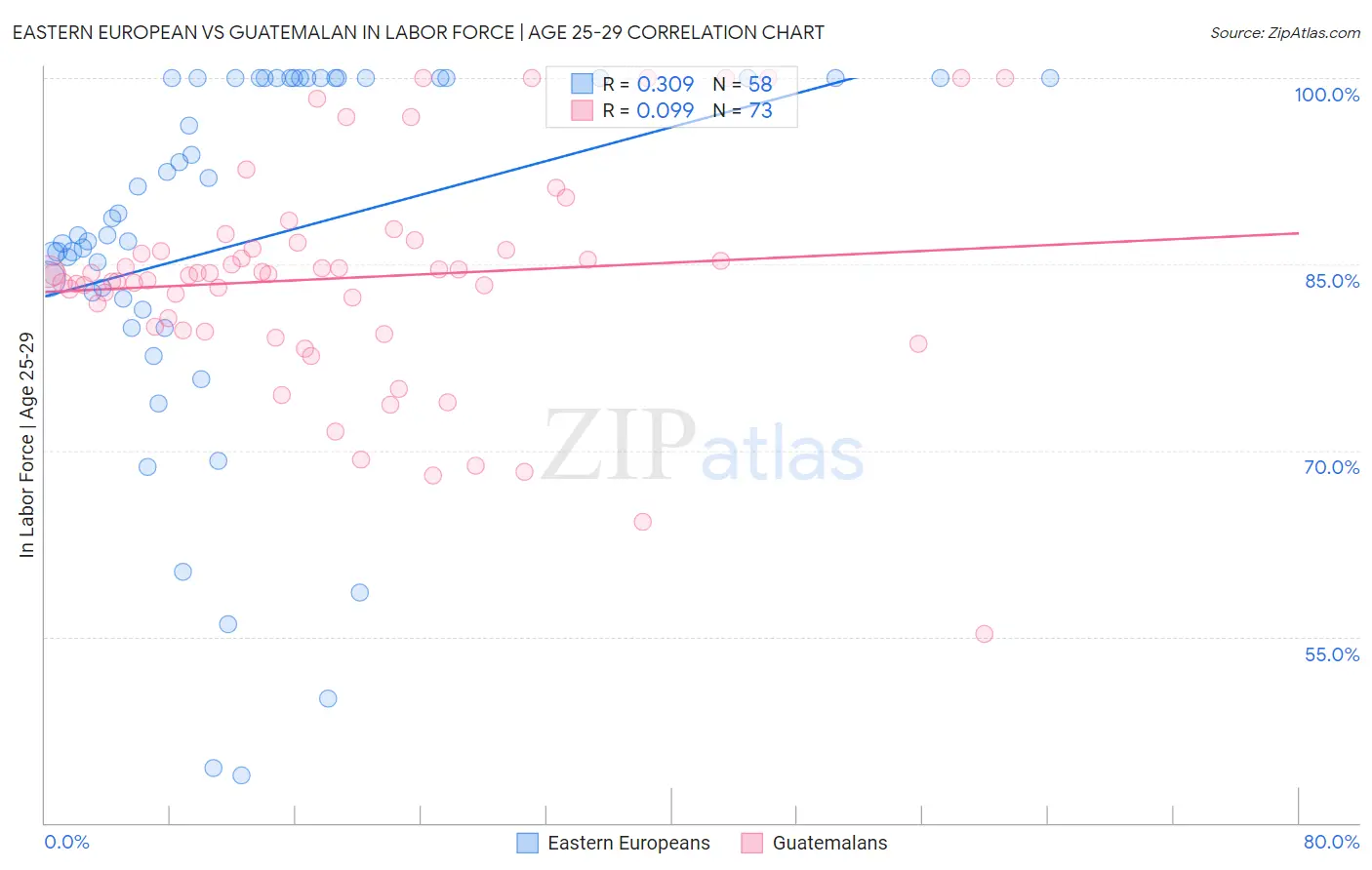 Eastern European vs Guatemalan In Labor Force | Age 25-29