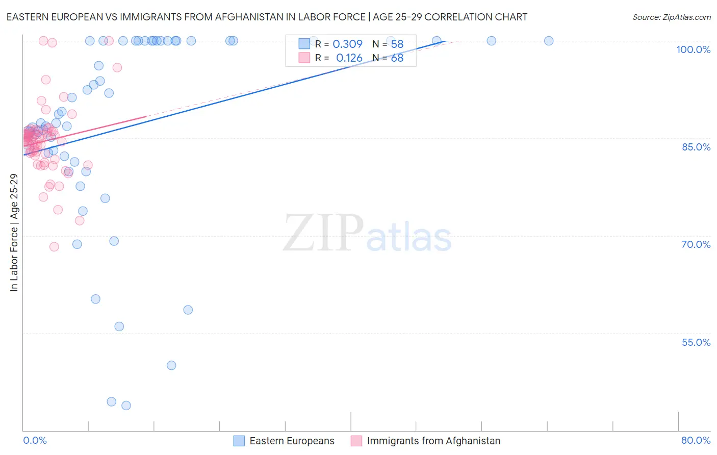 Eastern European vs Immigrants from Afghanistan In Labor Force | Age 25-29