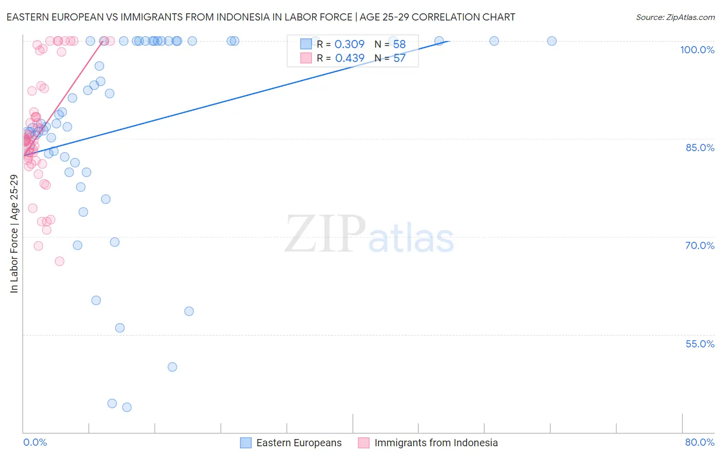 Eastern European vs Immigrants from Indonesia In Labor Force | Age 25-29