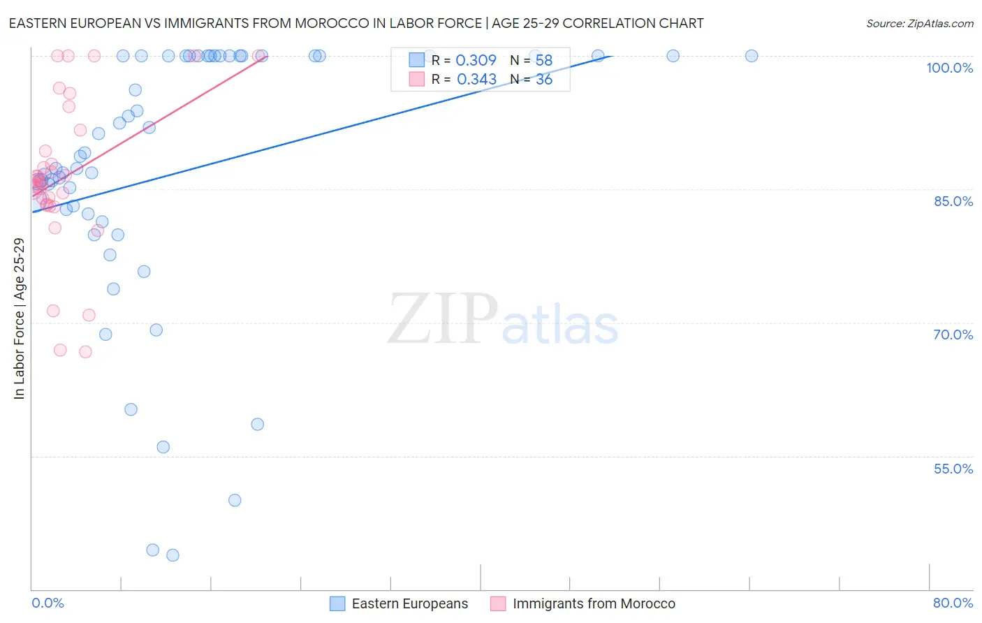 Eastern European vs Immigrants from Morocco In Labor Force | Age 25-29