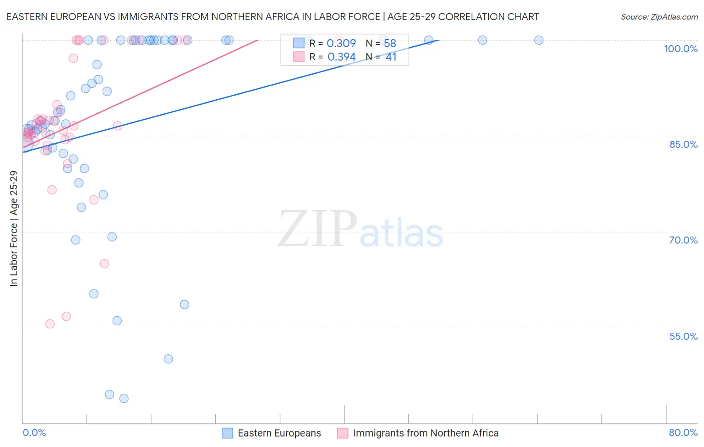 Eastern European vs Immigrants from Northern Africa In Labor Force | Age 25-29