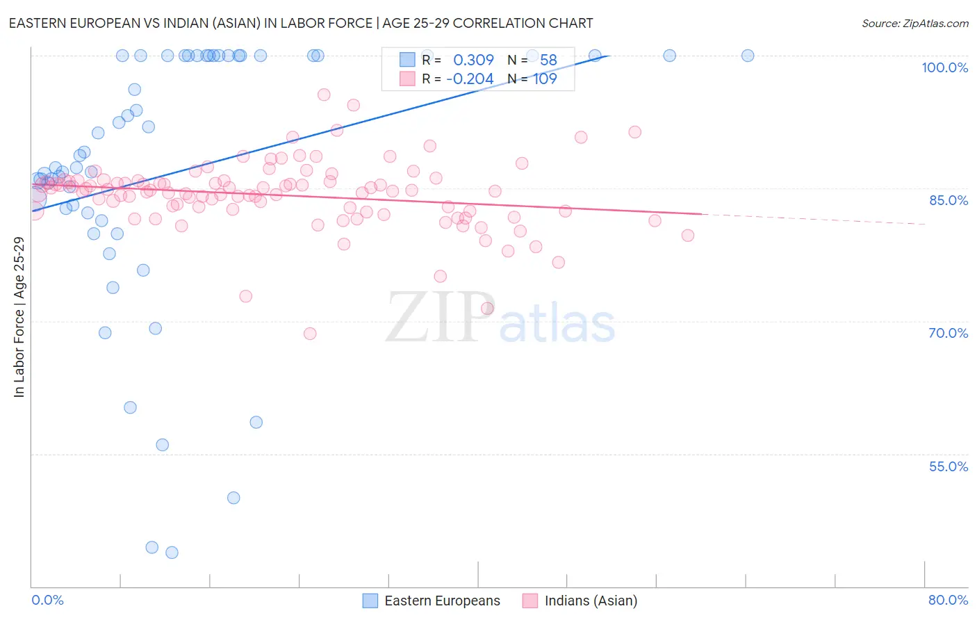 Eastern European vs Indian (Asian) In Labor Force | Age 25-29