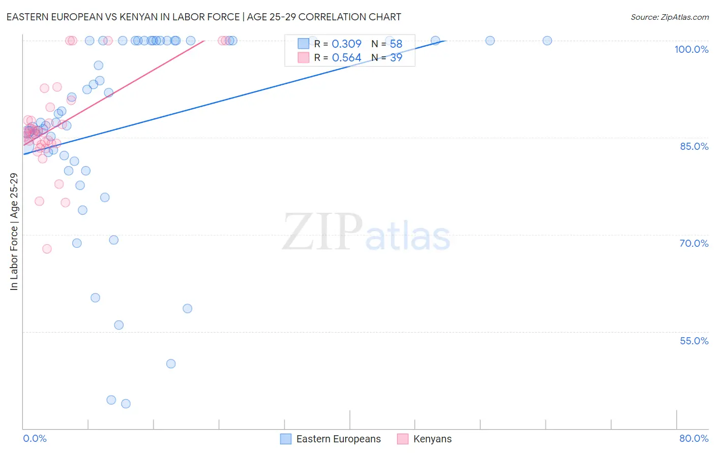 Eastern European vs Kenyan In Labor Force | Age 25-29