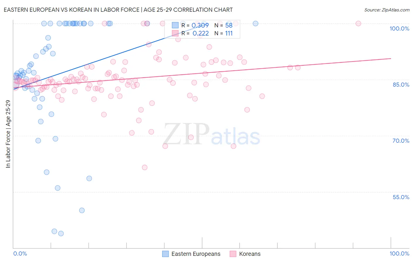 Eastern European vs Korean In Labor Force | Age 25-29