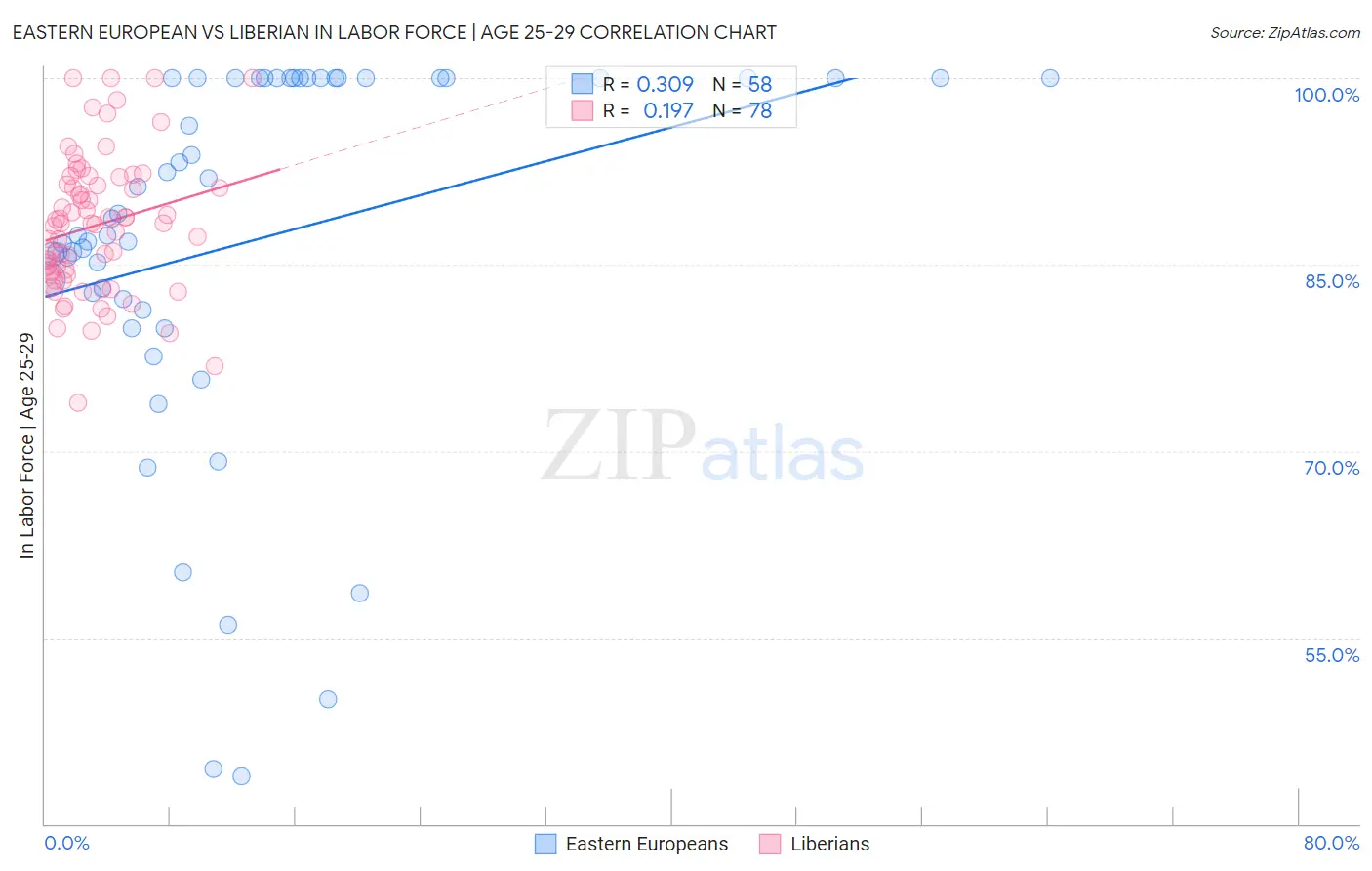 Eastern European vs Liberian In Labor Force | Age 25-29