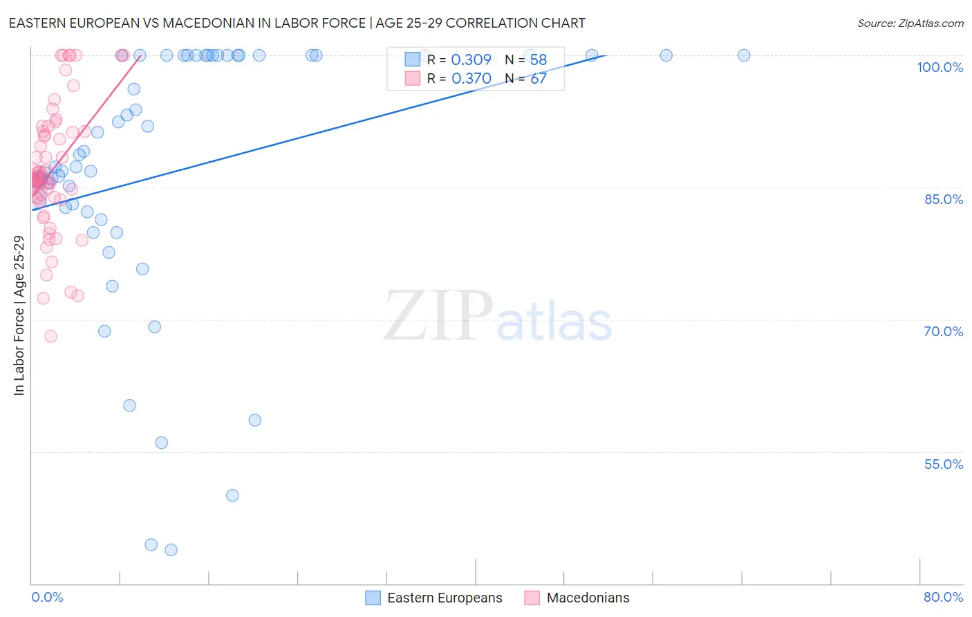 Eastern European vs Macedonian In Labor Force | Age 25-29
