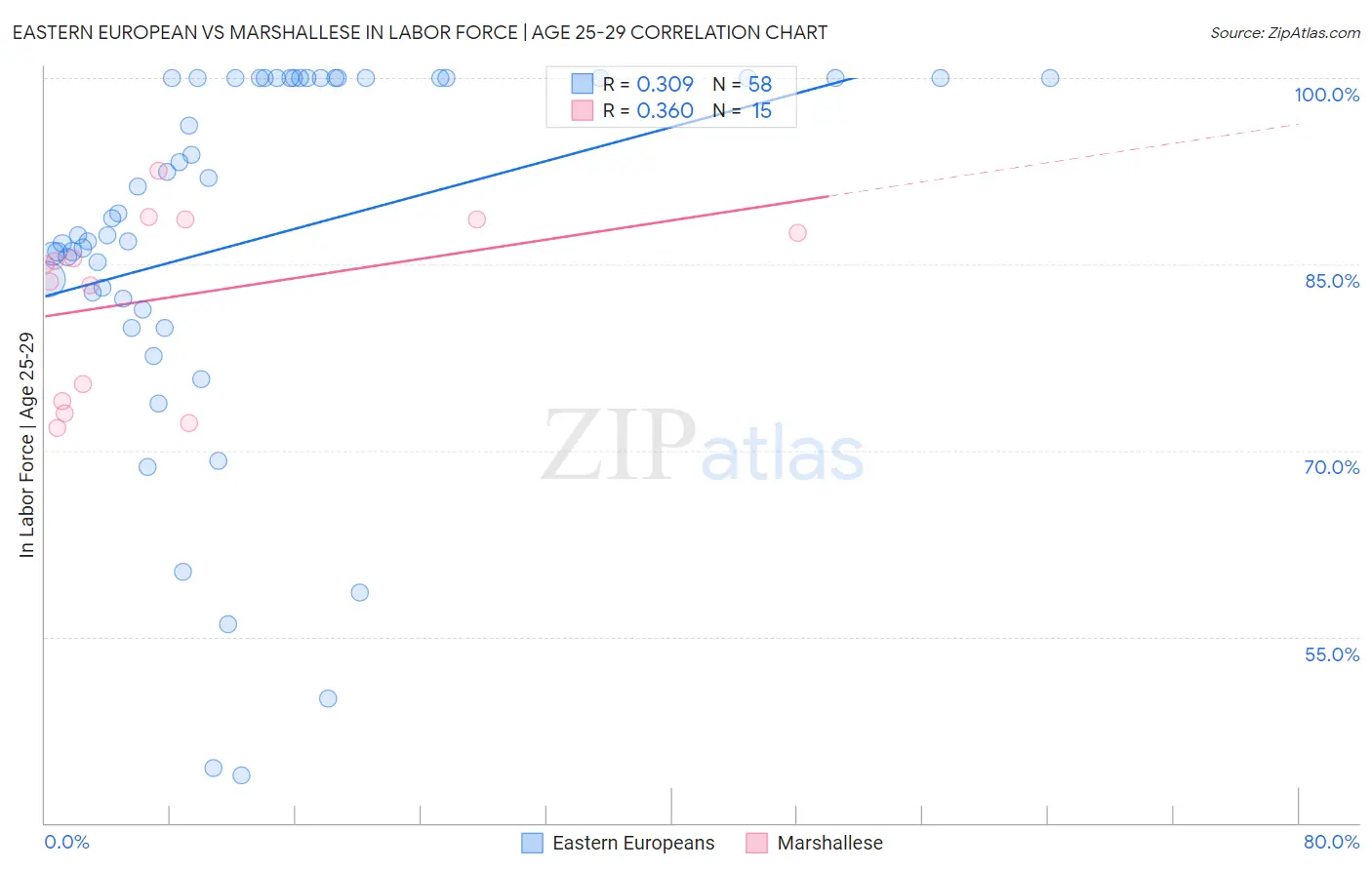 Eastern European vs Marshallese In Labor Force | Age 25-29