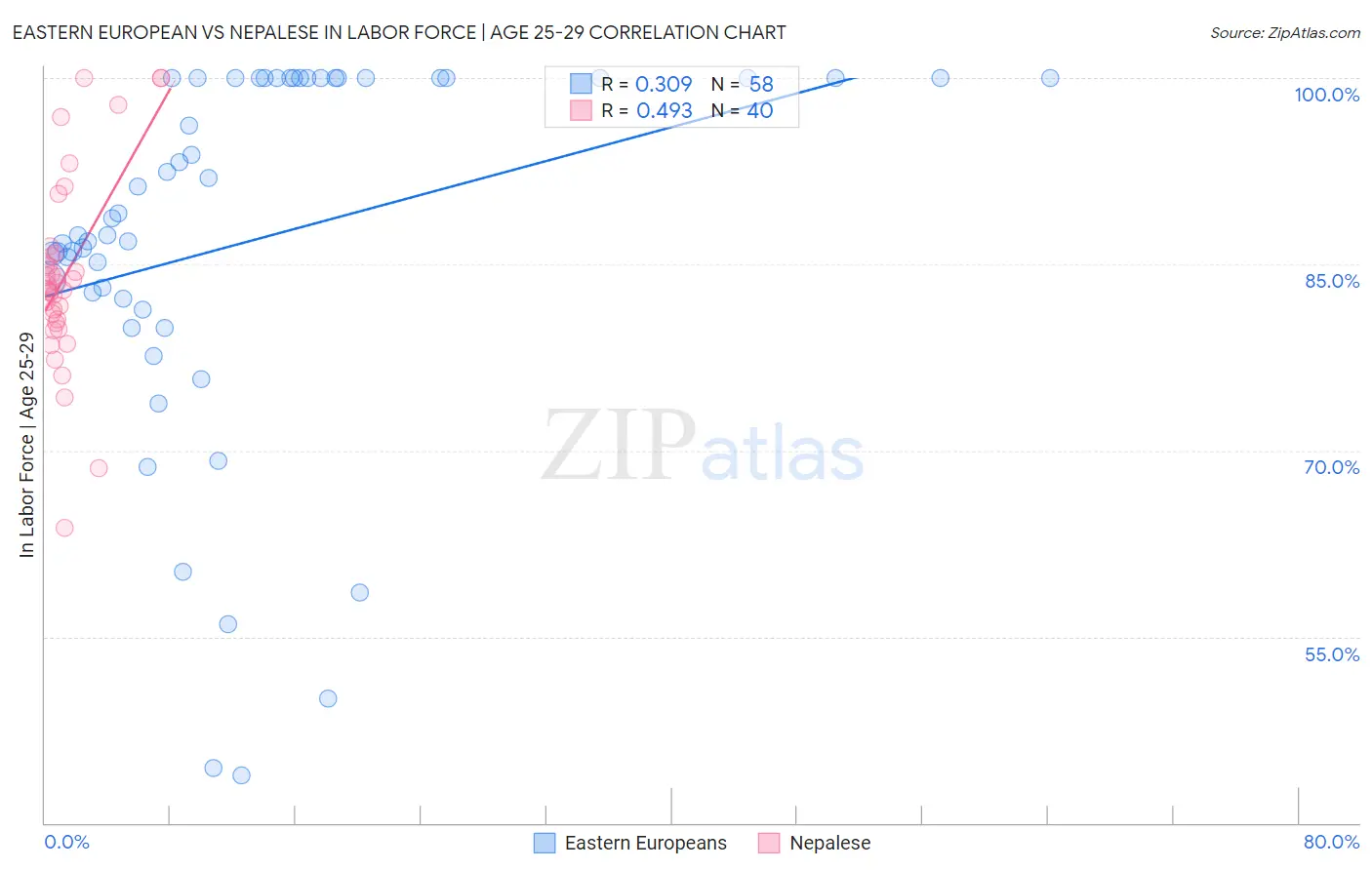 Eastern European vs Nepalese In Labor Force | Age 25-29